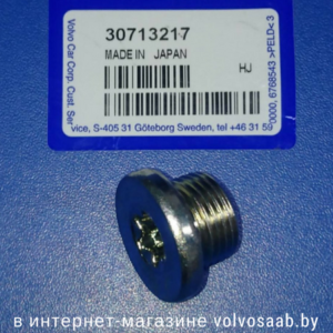 30713217 VOLVO заглушка 30713217 VOLVO заглушка